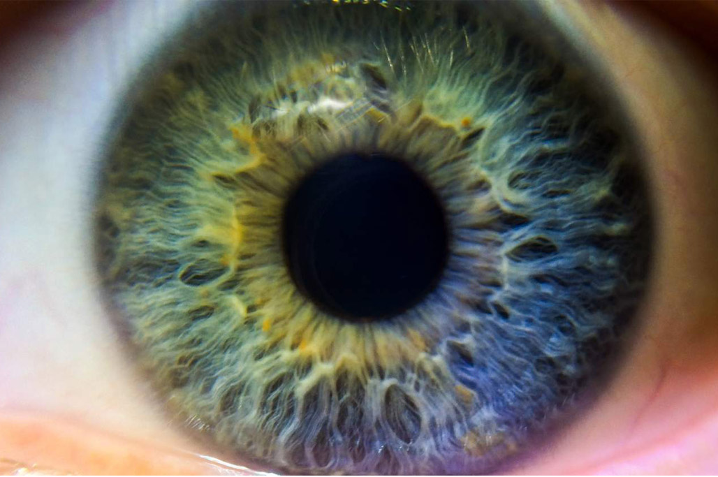 Auge bildlich für IT-Monitoring